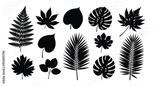 Collection of diverse leaf silhouettes on white background