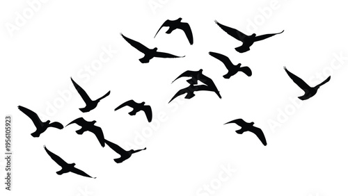 A flock of birds in flight formation against a white background