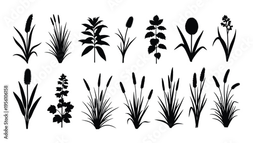 Collection of various aquatic and wetland plant silhouettes