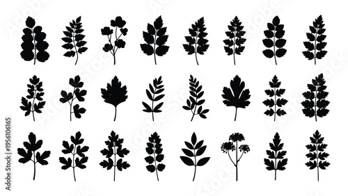 Collection of various plant silhouettes