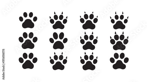 Animal paw print pattern with claws isolated on white background pet and predator tracks