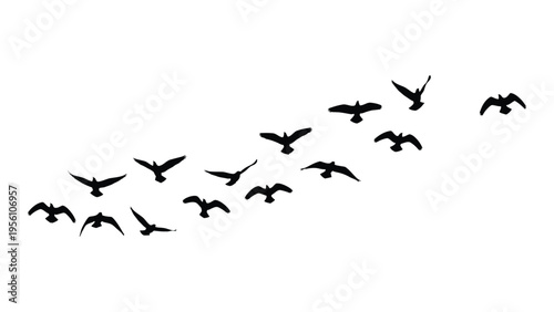 A flock of birds flying in formation against a white background