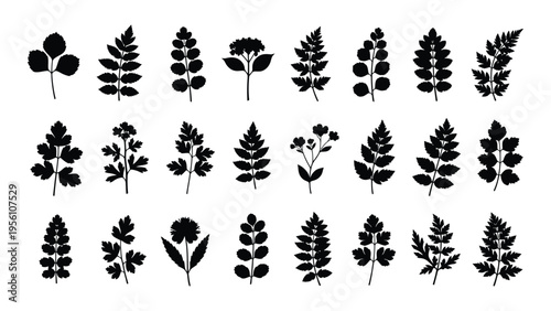 Collection of various plant silhouettes