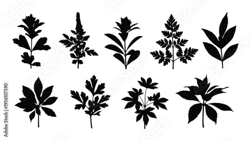 Collection of various leafy plant silhouettes