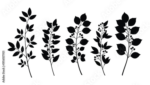 Black and white illustration of five plant stems with leaves