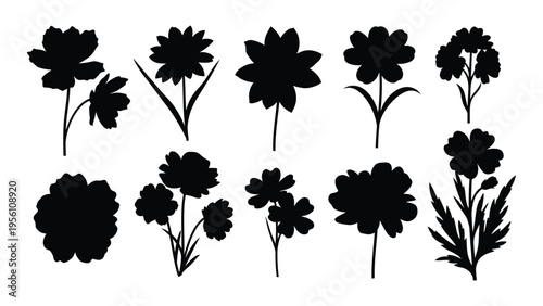 Collection of black silhouette flowers on white background