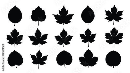 Collection of various black leaf silhouettes on white background