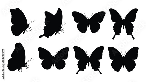Collection of black butterfly silhouettes on white background