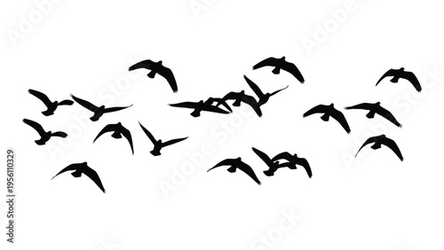 A flock of birds in flight formation against a white background