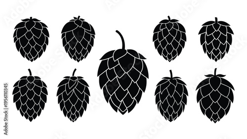 Black and white illustration of hop cones