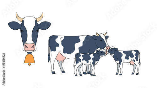 Set of spotted dairy cows and young calves illustration including a close up of a cow head wearing a traditional farm bell.
