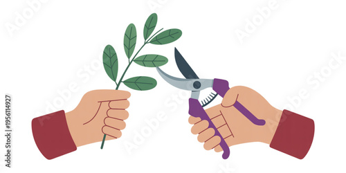 Pair of hands holding a green plant branch and using metal garden shears for careful pruning work Vector