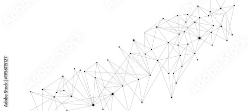 spider web with dew drops