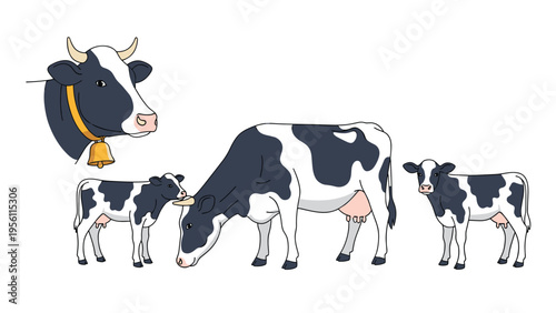 Illustration of a dairy cow and two calves grazing on a white background with a close up of a cow head with a bell.
