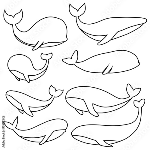Vector set of outline whales in various poses. Collection of marine life clip art