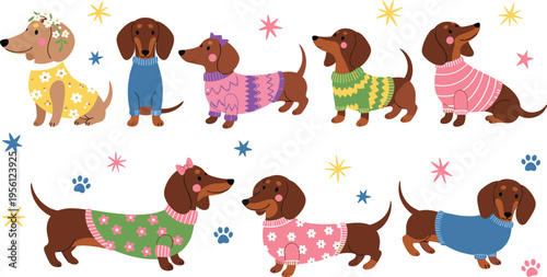 Cute dachshund dogs in sweaters set, adorable sausage dog characters with winter clothes isolated vector illustration