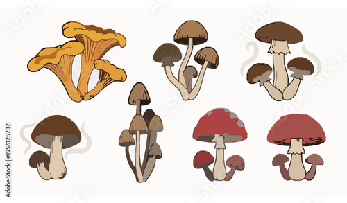 Abstract Forest Mushrooms Collection Vector Illustration Witchcraft Potion Elements
