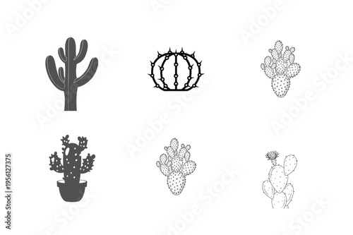 Cactus Plants in Various Styles and Shapes