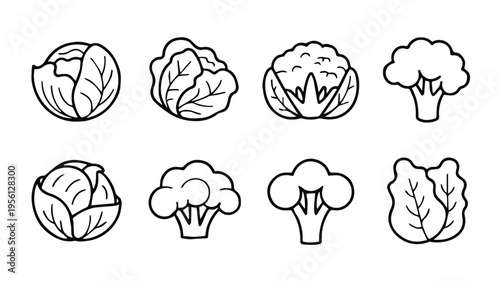 vegetable black and white icons cabbage broccoli cauliflower lettuce