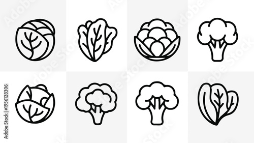 vegetable line drawings set cabbage lettuce cauliflower broccoli
