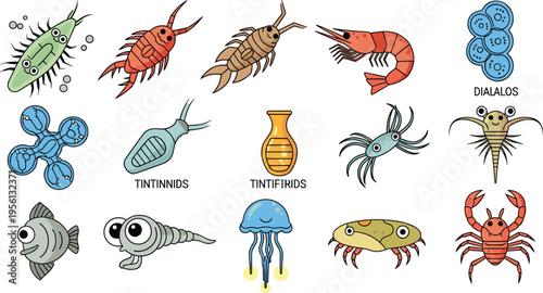 Marine Microorganism and Sea Creature Vector Set Featuring Plankton Diatoms Tintinnids Crustaceans Jellyfish Shrimp Crab Scientific Cartoon Illustration Collection for Biology Education Design