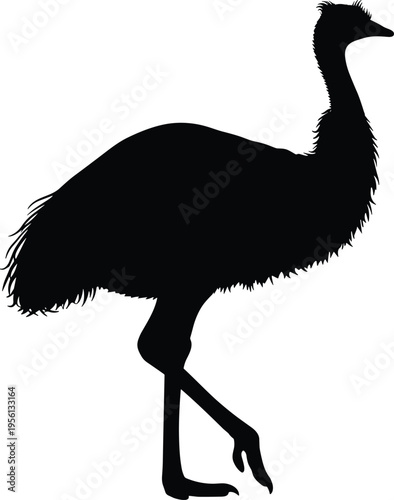 Emu silhouette illustration, Australian flightless bird, wildlife icon, nature design, exotic animal artwork, long neck bird, standing posture, feather texture