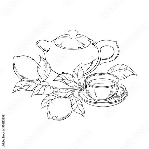 Lemon Tea in Teapot aroma beverage Outline Illustration. Vector isolated for Design and Decoration for Cafeteria, Posters, Banners, Cards.