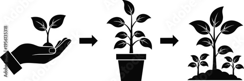 Plant growth stages, seedling, potted plant, mature foliage, cultivation process, nature illustration, agriculture, gardening, ecology, sustainability, development, propagation, nurture
