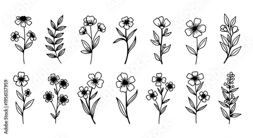 Flowers hand drawn set with delicate stems and detailed petals in a minimalist black outline style on white background, elegant botanicals.