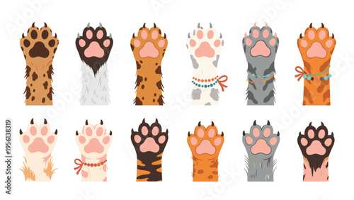 Collection of diverse cat paws with different fur patterns and colors, some wearing decorative bracelets, isolated on white background.