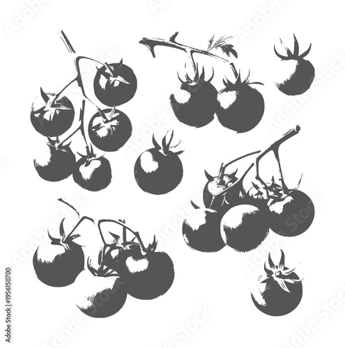Dark gray watercolor of ripe cherry tomatoes branches fruit food fresh