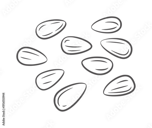 Simple black and white line of scattered almonds food seed outline