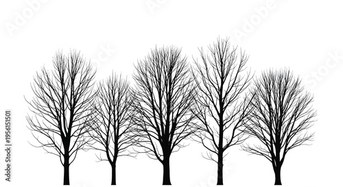 A group of bare trees against a white background