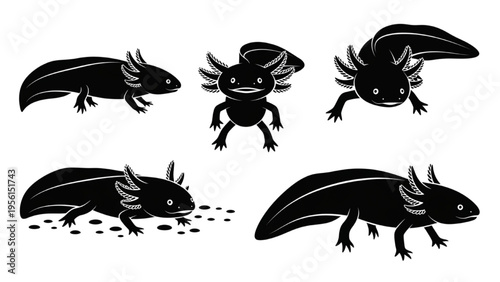 Diverse collection of stylized black axolotl silhouettes showcasing various poses, perfect for aquatic creature design concepts and graphic elements