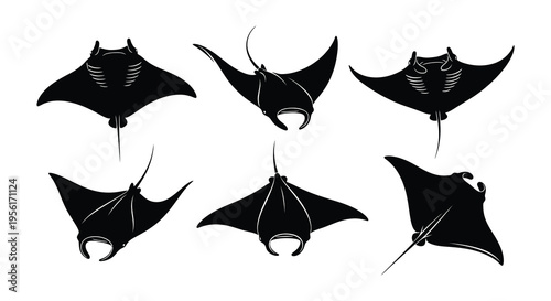 Black silhouettes of manta rays in various swimming positions