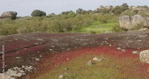 Natural landscape with granite rocks and vegetation in Los Barruecos.