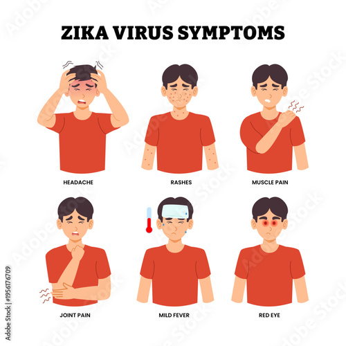 Zika virus symptoms infographic medical poster design, labeled man headache, skin rashes, muscle pain, joint pain, mild fever, red eye. Mosquito infection, epidemic insect outbreak dengue fever.