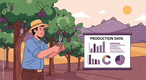 Farmer Harvesting Grapes Near Production Data Presentation.