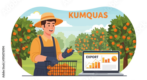 Farmer harvesting kumquats with export data on laptop.