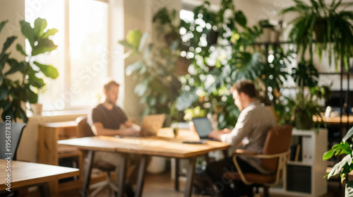 Perfect blurred background for a website or presentation. Two men working on laptops at a wooden desk in a bright modern office full of green indoor plants