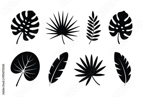 Collection of Black Silhouette Tropical Leaves on White Background