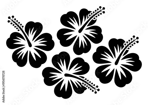 Black and White Hibiscus Flower Silhouettes on White Background