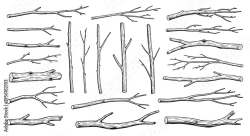 Collection of Hand-Drawn Twigs and Branches Illustration.