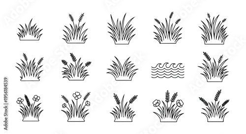Collection of minimalist line art icons depicting various natural grass, reeds, aquatic plants, and stylized water waves.