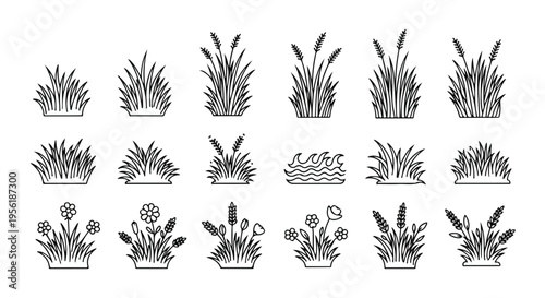 Stylized black and white line drawings of different grass tufts, reeds, and botanical elements.