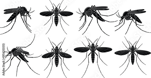 Black Mosquito Silhouette Vector Set Featuring Top View and Side Profile Illustrations for Malaria Prevention Dengue Fever Education Pest Control and Medical Graphics