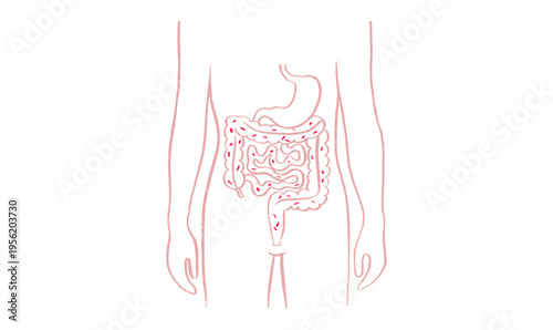 Gut Brain Connection