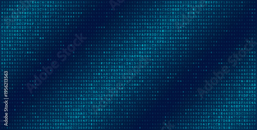 Systemic Data Matrix - Full Frame Binary Code Distribution