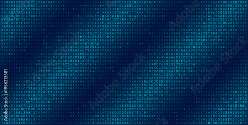 Monolithic Data Field - High Density Binary Code Grid for Enterprise Computing
