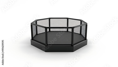An empty black mixed martial arts (MMA) octagon cage is rendered on a minimalist white background.